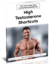 High Testosterone Shortcuts